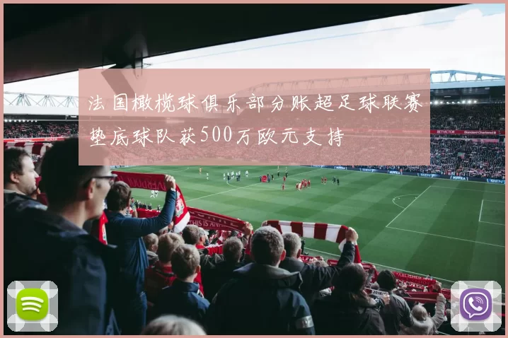 法国橄榄球俱乐部分账超足球联赛垫底球队获500万欧元支持
