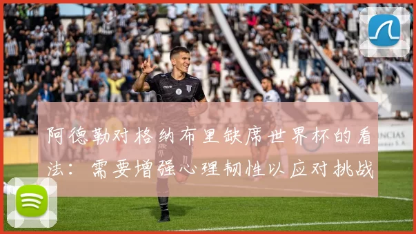阿德勒对格纳布里缺席世界杯的看法：需要增强心理韧性以应对挑战